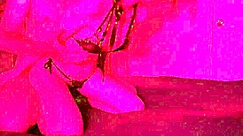 lazycatdoll asks if guest likes my service