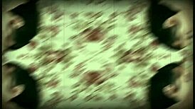 bbw premium clips collection