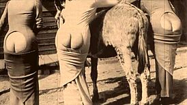 Back in the day, Dark Lantern Entertainment dropped Beauty and the Beast. A hairy beauty got bent over for retro doggystyle.