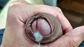 voce quer mamar piroca suculenta do twink brasileiro