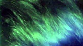 Incredible blowjob that leaves you craving more