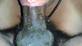 Amateur shemale sucking big cock deeply in trans scene