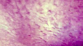 This girl's getting fucked hard and squirting everywhere