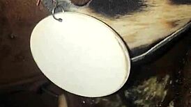 lousiana street walker gags on dick