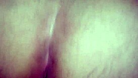 São João Bareback Brazilian Amateurs