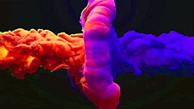 I Went to Visit the Young Guy Who Missed Me