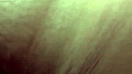 i watch my step mom take cock doggystyle from him