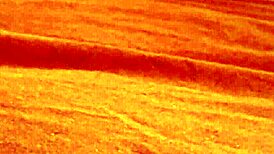 Coed Strips And Rubs Her Clit