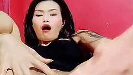 Thai Babe Stretches Pussy With Big Cock