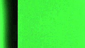 Young transsexual in tight doggystyle scene.