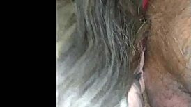 gabriela stokweel sucks guy's ass orally