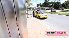 latin ts spreads asshole for big cock lover