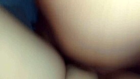 this horny milf stella still is giving her greedy ass to be fucked hard