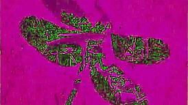 Wow, Jumpa Klip Memek Berbulu Retro The Dragonfly, Sangat Liar! 🐉