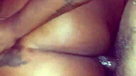 Ms Jersey Takes Backshots From Cougar