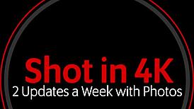 Slutty Step Sister Screws Perverted Brother in Backyard Encounter