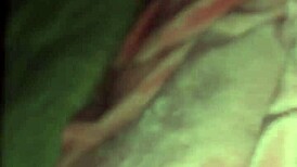 Creampie Without Protection