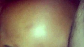 Ms Jersey Takes Backshots From Cougar