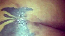 Ms Jersey Takes Backshots From Cougar