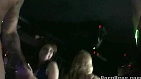 Thai babes party hard in Bangkok lesbian orgy