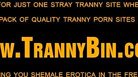 just a latin shemale getting off solo with some hot ink.