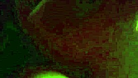 Farewell Head For Tiny Debo Lister