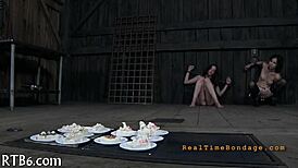 Four stunning women in a small enclosure