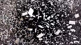 Ehi, vuoi adorare i miei piedi? Dimmi quanto desideri leccarmi le dita!