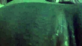 i'm watching kimbote giving fire to zuly in mexican style