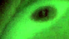 Cornos share wives in swing party 😏