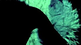 Exploring the wonderful world of vintage films