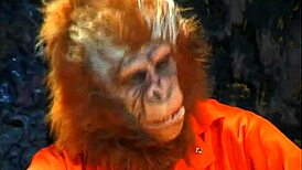 Pianeta delle Belle 1 - Civiltà Futura Governata dalle Donne con Sesso Cosplay Selvaggio