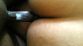 Intense Sucking and Fucking Session with Big Cocks and Wet Pussies