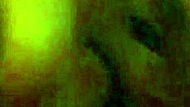 This brunette bbw casually gives a blowjob to a big black cock