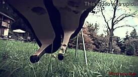 mistress calls you dirty worm in fetish