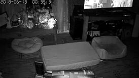 Wife Gives Intense Blowjobs And Sucking Sessions To Her Husband In Their Bedroom