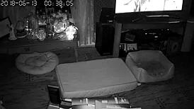 Wife Gives Intense Blowjobs And Sucking Sessions To Her Husband In Their Bedroom