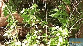 that wondrous forest mala dvojka adventure.