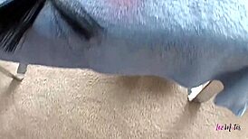 lesbian wife humiliated by toys and strapons