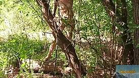 that wondrous forest mala dvojka adventure.