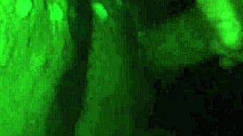 I masturbate my big dik, but it's so huge I can't handle it.