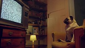 silvia soprano and sharon white fuck hard