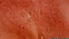 Memek genit telan semua peju 😋