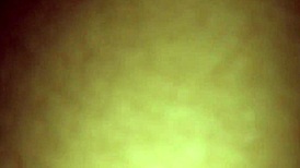 Rocky Tajauta licking that fat latina booty real good