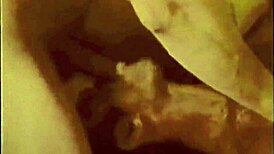 Dark lantern entertainment presents vintage taboo freak show.