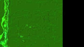 i'm in love with the wonderful world of vintage pornography threesomes featuring hairy beavers and retro fucking