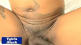 Seductive Nubian Transsexual Jerking Solo in Lingerie