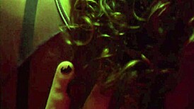 Sofie Lollipop as sexy vampire in Ediyporn flick