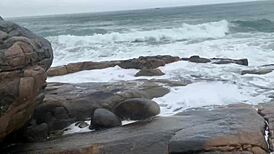 Teen 18+ Latina Amateur With Tight Pussy And Big Tits At The Beach