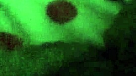 Jeu avec sextoy dans chatte trempée